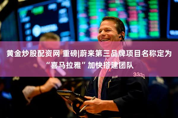 黄金炒股配资网 重磅|蔚来第三品牌项目名称定为“喜马拉雅”加快搭建团队