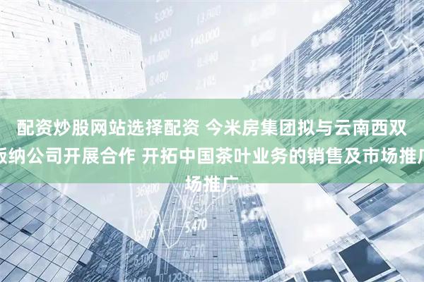 配资炒股网站选择配资 今米房集团拟与云南西双版纳公司开展合作 开拓中国茶叶业务的销售及市场推广
